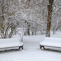 *** :: Игорь Протасов