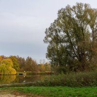 *** :: Николай Гирш