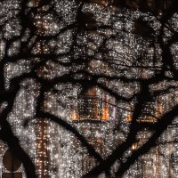 *** :: Сергей Полянский