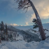 *** :: Аnatoly Gaponenko