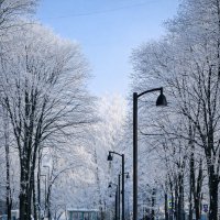 Красота :: Дмитрий Колесников