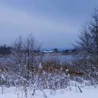 В окрестностях Калининграда :: Рита Симонова