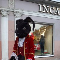 живая реклама :: zavitok *