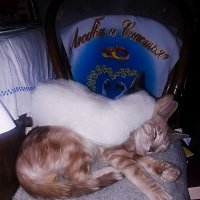 ** :: Сергей Кочнев