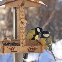 Скажу тебе секрет - наша лазоревка замуж вышла. :: Татьяна Бравая