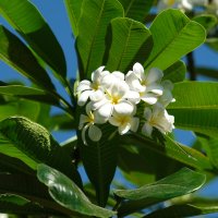 * :: Dmitry i Mary S