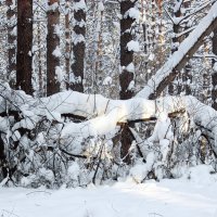 В городском парке :: Галина Нестратова