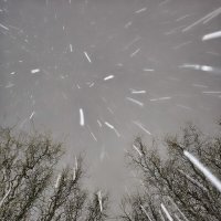 Снег :: Валерий Ткаченко