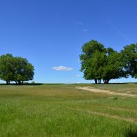 **** :: Виктор 