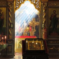 Свет :: Лариса С.