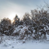 Зимний солнечный пейзаж :: Александр Синдерёв