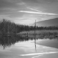 *** :: Александр. AVG100 ---