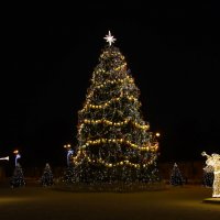 ёлка,Кронштадт :: Laryan1 