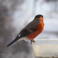 Вчера... вечер... :: Юрий Куликов