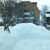 Снежный январь :: Марина Кушнарева