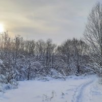 Январский день... :: Владимир Жданов