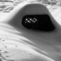 ... :: Василий Палий