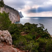 **** :: Сергей Воротников