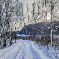 Январский день... :: Владимир Жданов