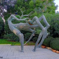 Адлер. Сочи Парк... :: Нина Бутко