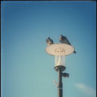 С сегодняшней прогулки... :: Руслан 