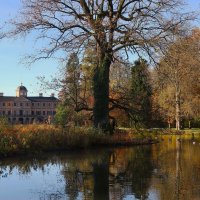 Ноябрьское утро :: Юрий. Шмаков