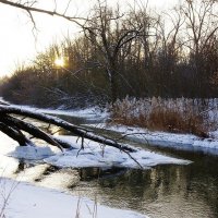 ...морозный вечер... :: Александр Герасенков