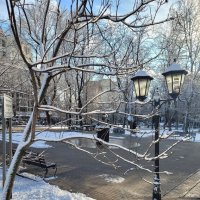 Бывали солнечные дни... :: Татьяна Машошина