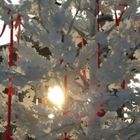 ВДНХ :: Натали 