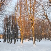 В сквере :: Olga Oskolkova