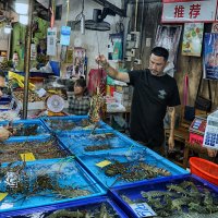 *** :: Алексей Карташев