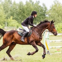 Конкур :: SanSan 