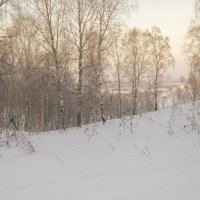 Зимний берёзовый лес :: Владимир Кириченко