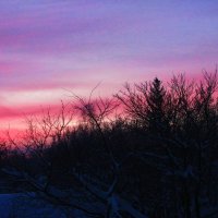 Январское утро :: Людмила Смородинская