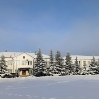 Зима в городе. :: Ольга 