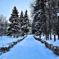 Чебоксары. Аллея сквера им. В.И. Чапаева зимой. :: Пётр Чернега