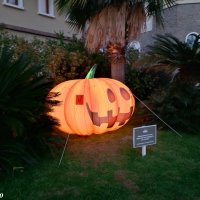 Адлер. Сочи Парк... :: Нина Бутко