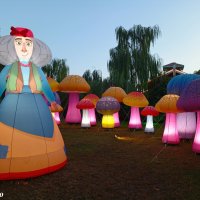 Адлер. Сочи Парк... :: Нина Бутко