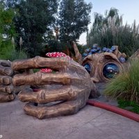 Адлер. Сочи Парк... :: Нина Бутко