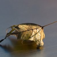 Про лист... :: Николай Саржанов