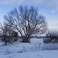 Калининградский залив и побережье :: Рита Симонова