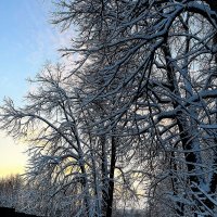 Зимний день. :: Ирина *