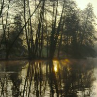 Зимнее утро :: Юрий. Шмаков