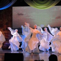 Лебеди :: Ната57 Наталья Мамедова