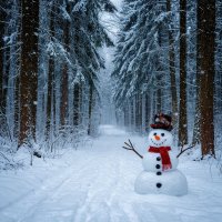 зимняя прогулка. :: Mila 