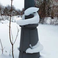 "Удав". :: Владимир Безбородов