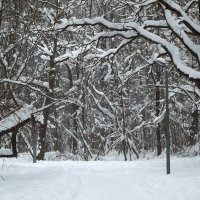 Зима :: Freddy 97