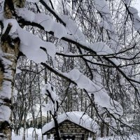 «У леса на опушке жила ЗИМА  в избушке…» :: Арина Невская