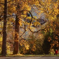 Затерянная в осени :: Юрий. Шмаков