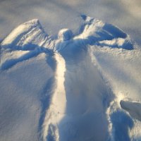 мой ангел :-) :: Андрей Лукьянов